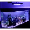 供應LED水族燈