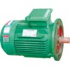 YDT系列三相異步電動機(jī)
